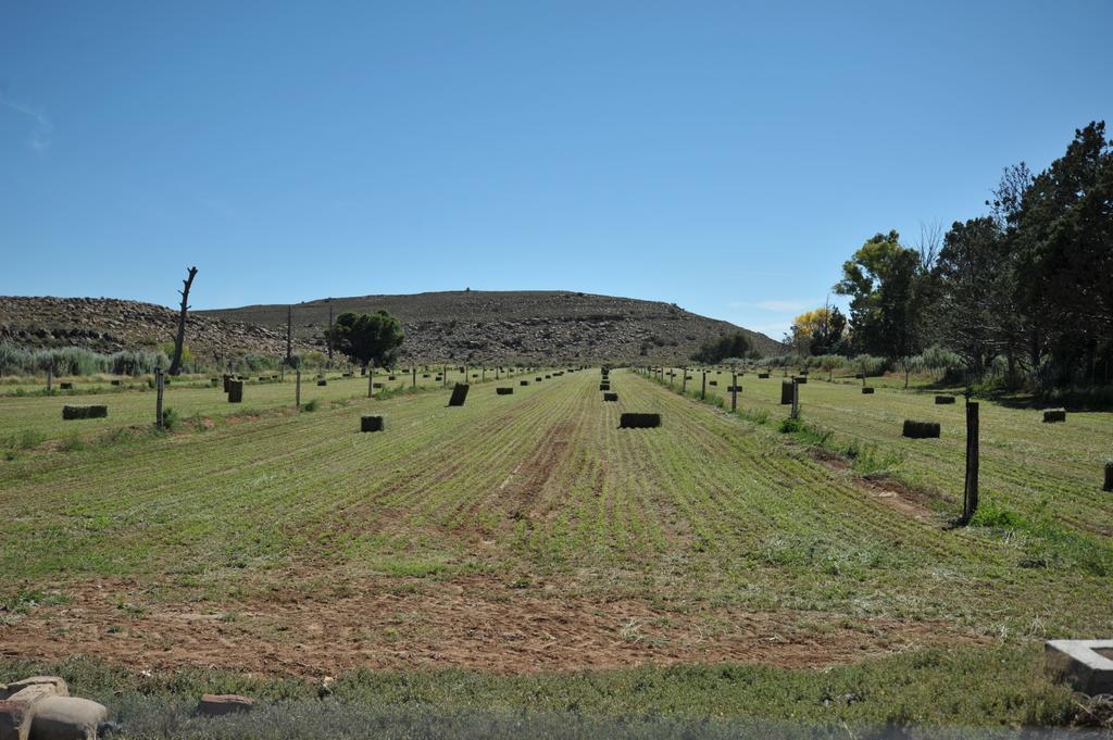 Melton Wold Guest Farm Βίλα Meltonwold Εξωτερικό φωτογραφία