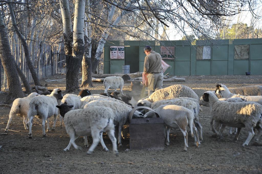 Melton Wold Guest Farm Βίλα Meltonwold Εξωτερικό φωτογραφία